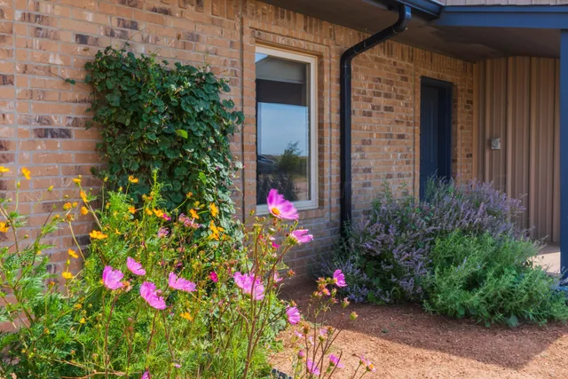 a living room with furniture and a ceiling fan
