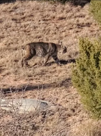 $719,000 | 11400 Busan Way, Canyon, TX 79015