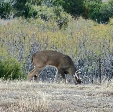 $719,000 | 11400 Busan Way, Canyon, TX 79015