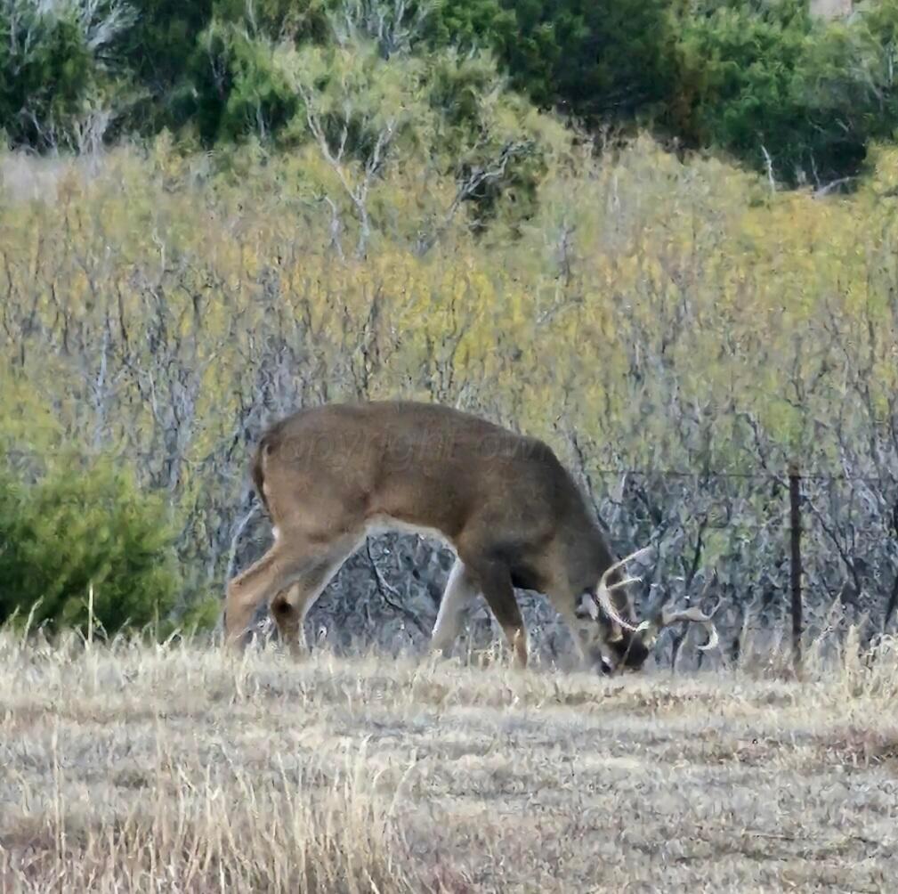 11400 Busan Way Canyon, TX 79015 - Photo 70 of 107 IMG_1586