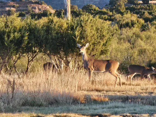 $719,000 | 11400 Busan Way, Canyon, TX 79015