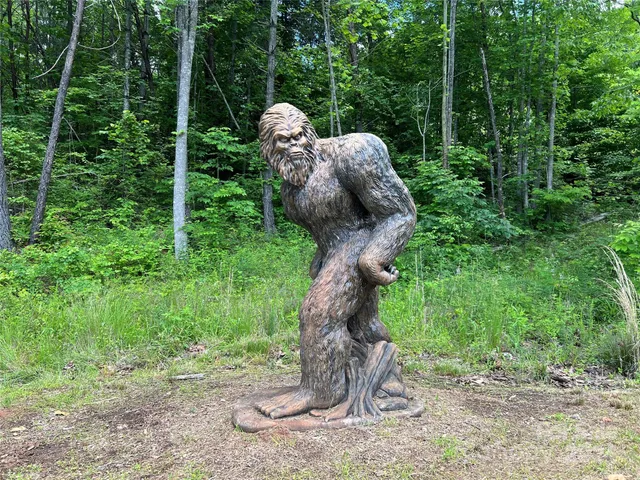 a view of a garden with a slide