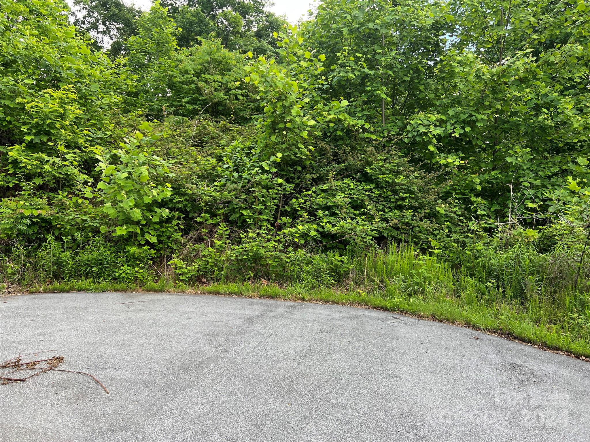 0 Ardal Street, Unit 177 Union Mills, NC 28167 - Photo 3 of 5 a view of a yard with a tree