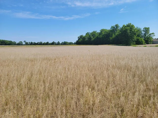 $179,900 | 0 State Road 350, Milan, IN 47031