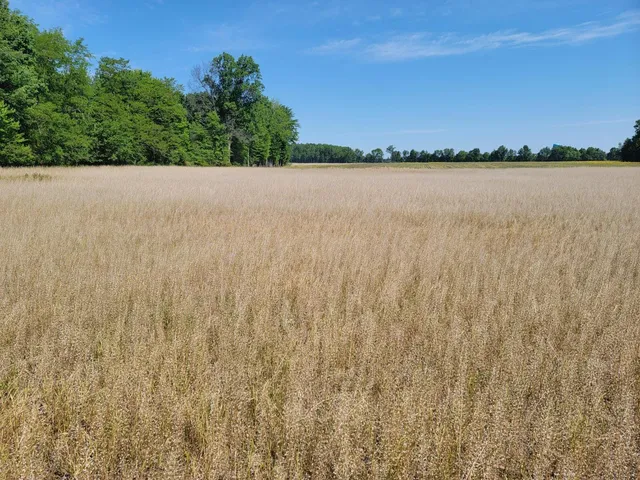 $179,900 | 0 State Road 350, Milan, IN 47031