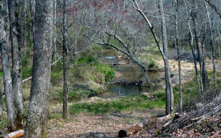 L-11 Owl Creek Road Murphy, NC 28906 - Photo 1 of 1 Main View