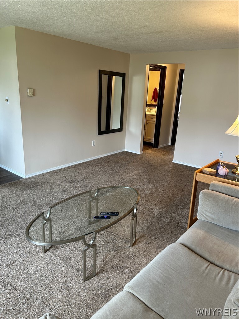 307 Cayuga Road Amherst, NY 14221 - Photo 11 of 26