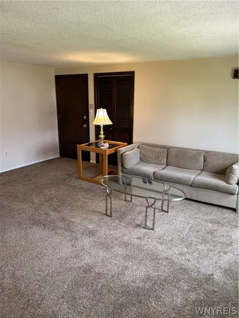 $1,600 | 307 Cayuga Road, Amherst, NY 14221