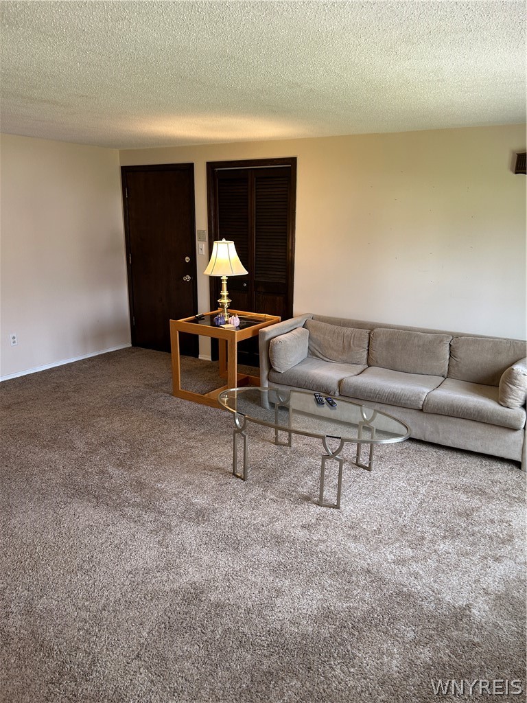 307 Cayuga Road Amherst, NY 14221 - Photo 4 of 26