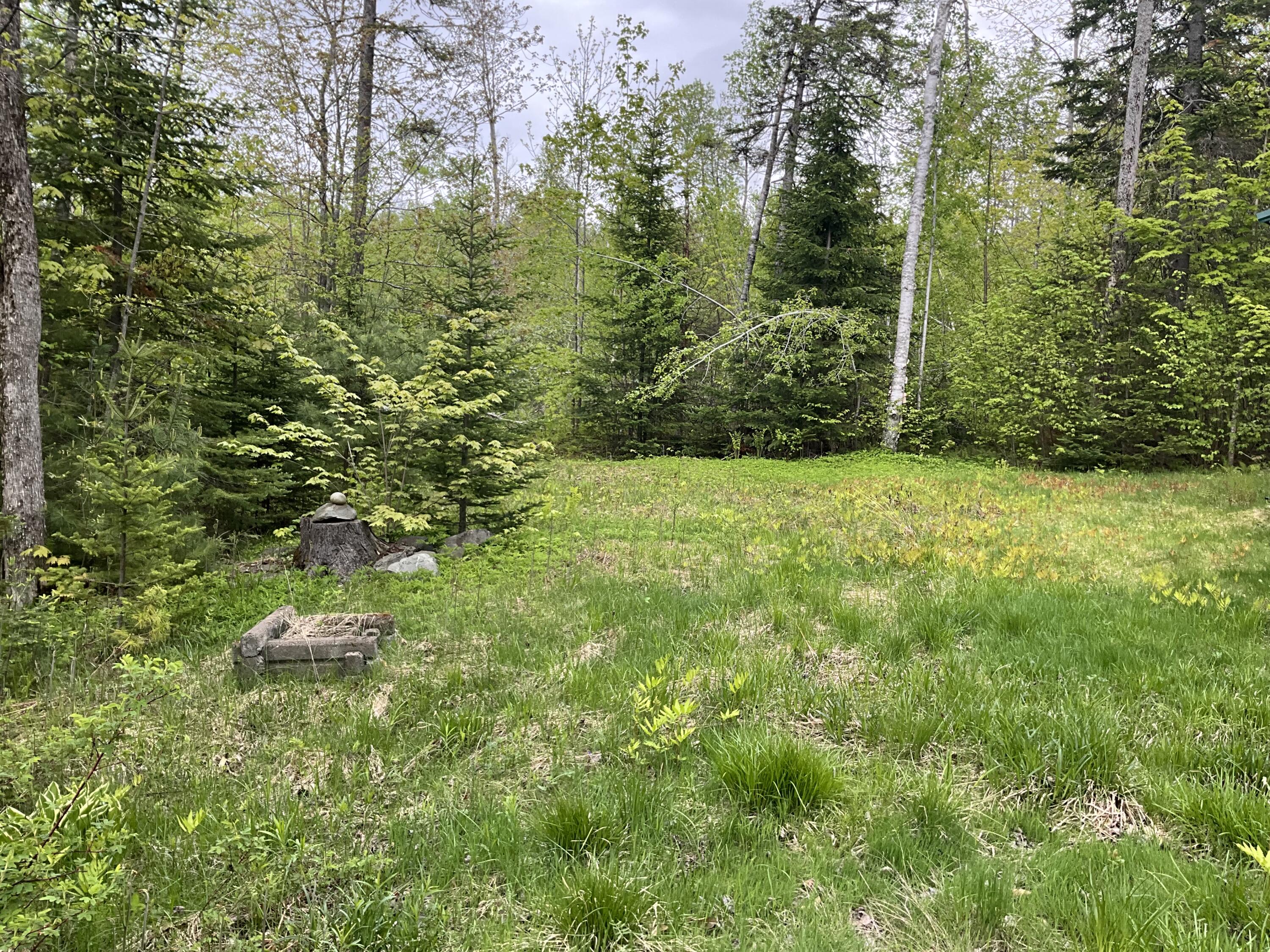 37 Harlin Road Garland, ME 04939 - Photo 18 of 20 IMG_0261