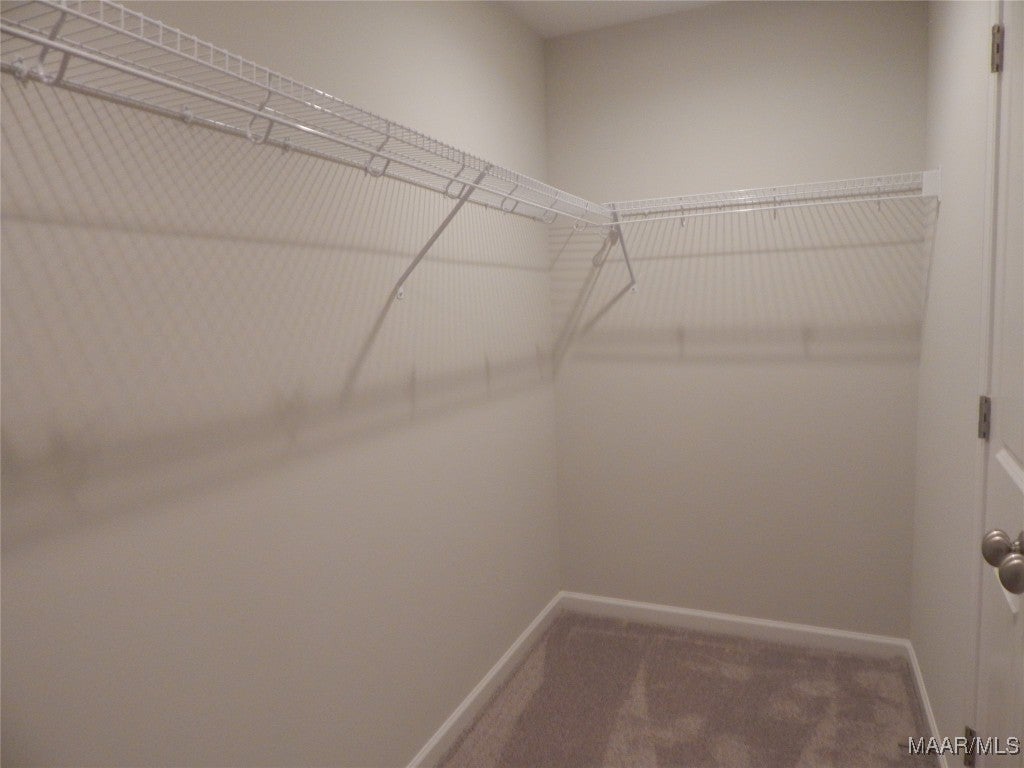 216 Gritney Road Daleville, AL 36322 - Photo 40 of 65 Main Walk-in closet