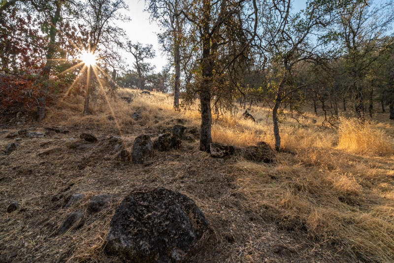 Three Rivers Ca Three Rivers, CA 93271 - Photo 3 of 11 Brunson-3