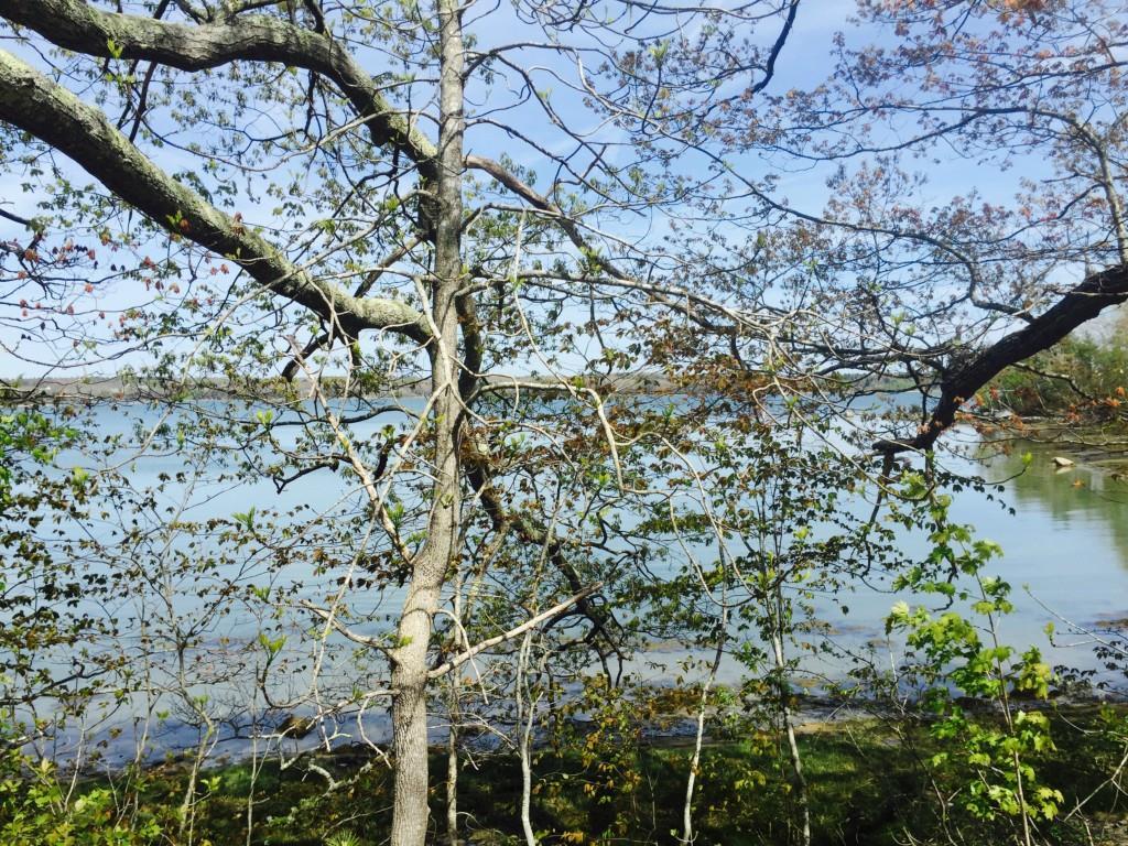 860 Dutch Neck Road Waldoboro, ME 04572 - Photo 18 of 19 Photo