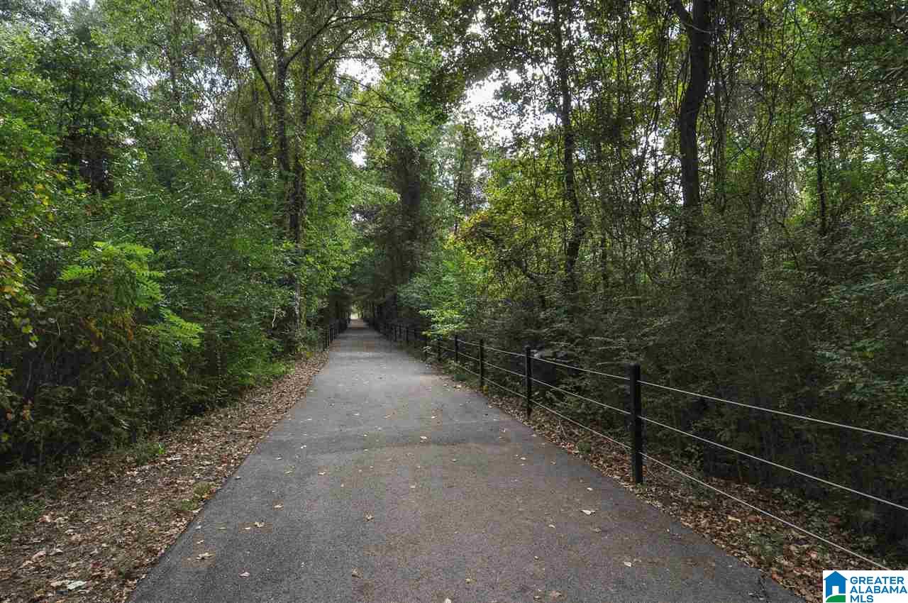 242 Rowntree Path Helena, AL 35080 - Photo 49 of 50
