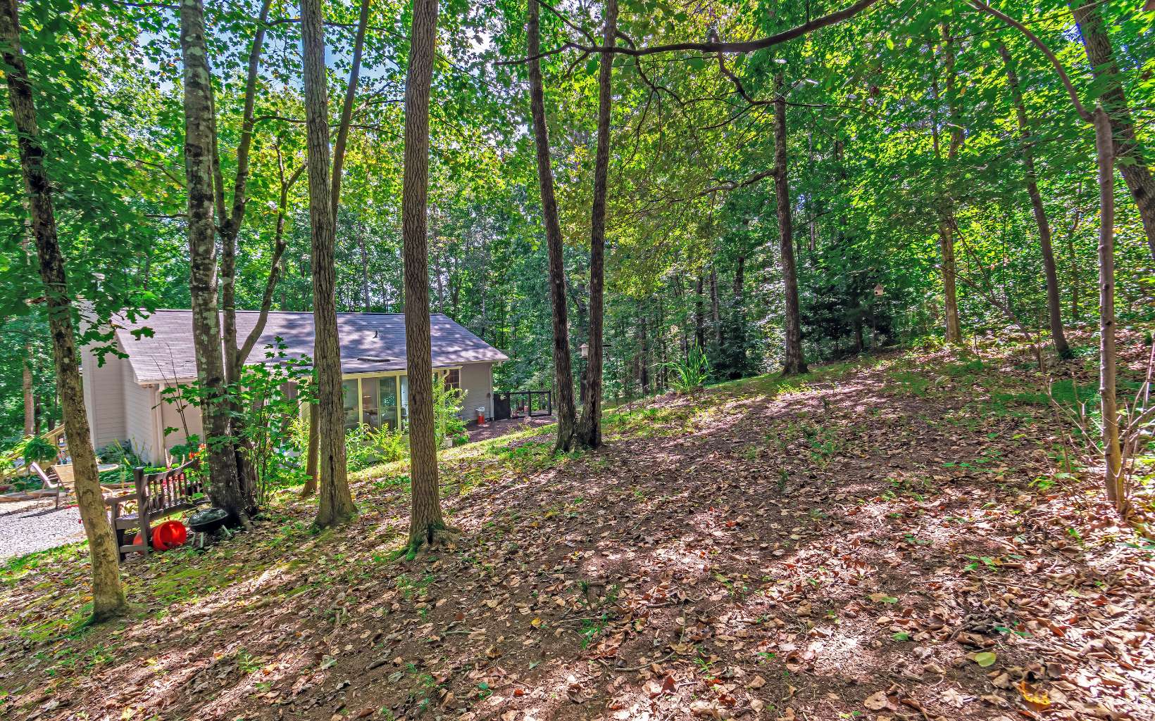 138 Laurel Circle Blue Ridge, GA 30513 - Photo 52 of 54 Additional View