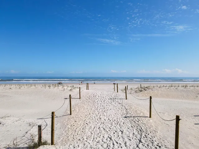 a view of a yard with wooden fence