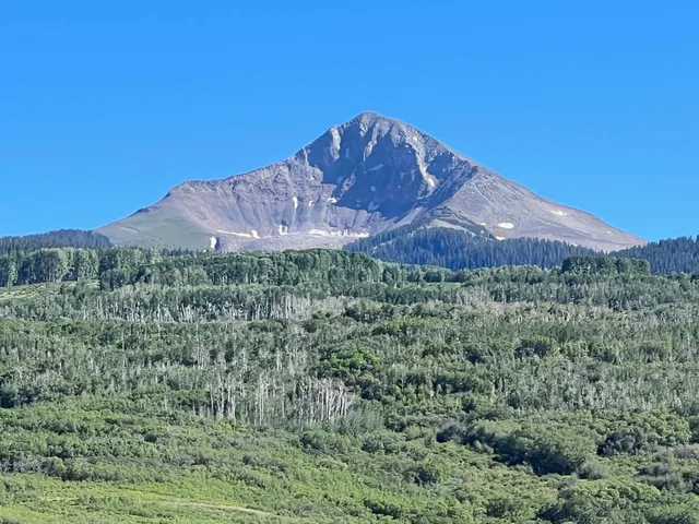 a view of a lush green field