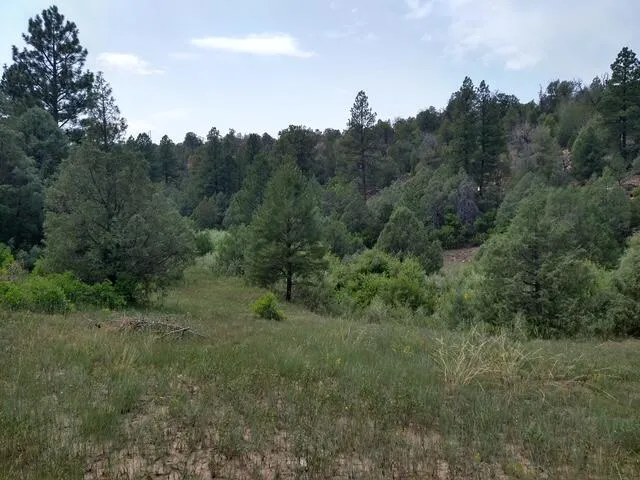 a view of a mountain range with lush green forest