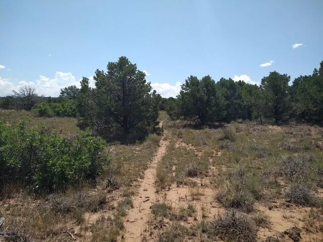 a view of a lake and mountain in the back
