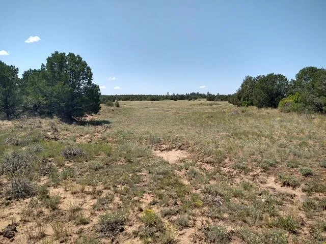 a view of a large yard with lots of green space