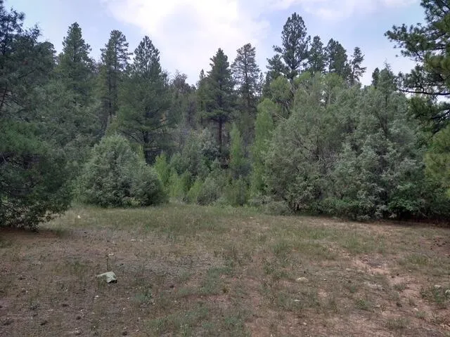 a big yard with lots of green space and deers