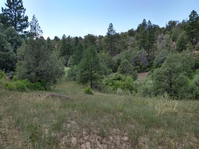 a view of a covered with trees in the background