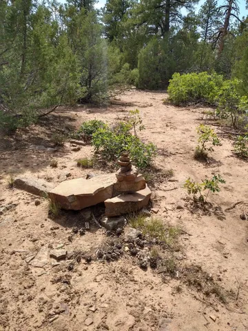 a view of a backyard of a house