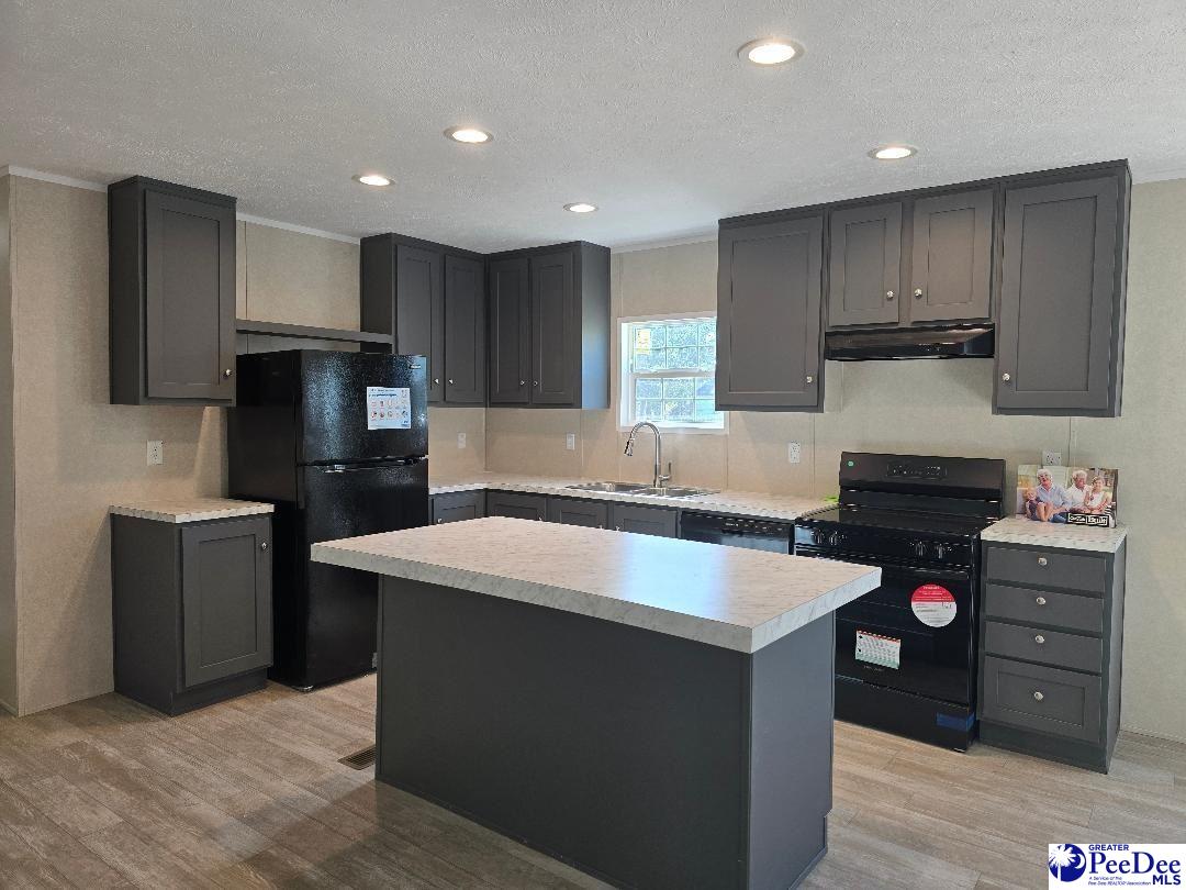 111 Copeland Moody Road Latta, SC 29565 - Photo 2 of 14 Gallery Image 2