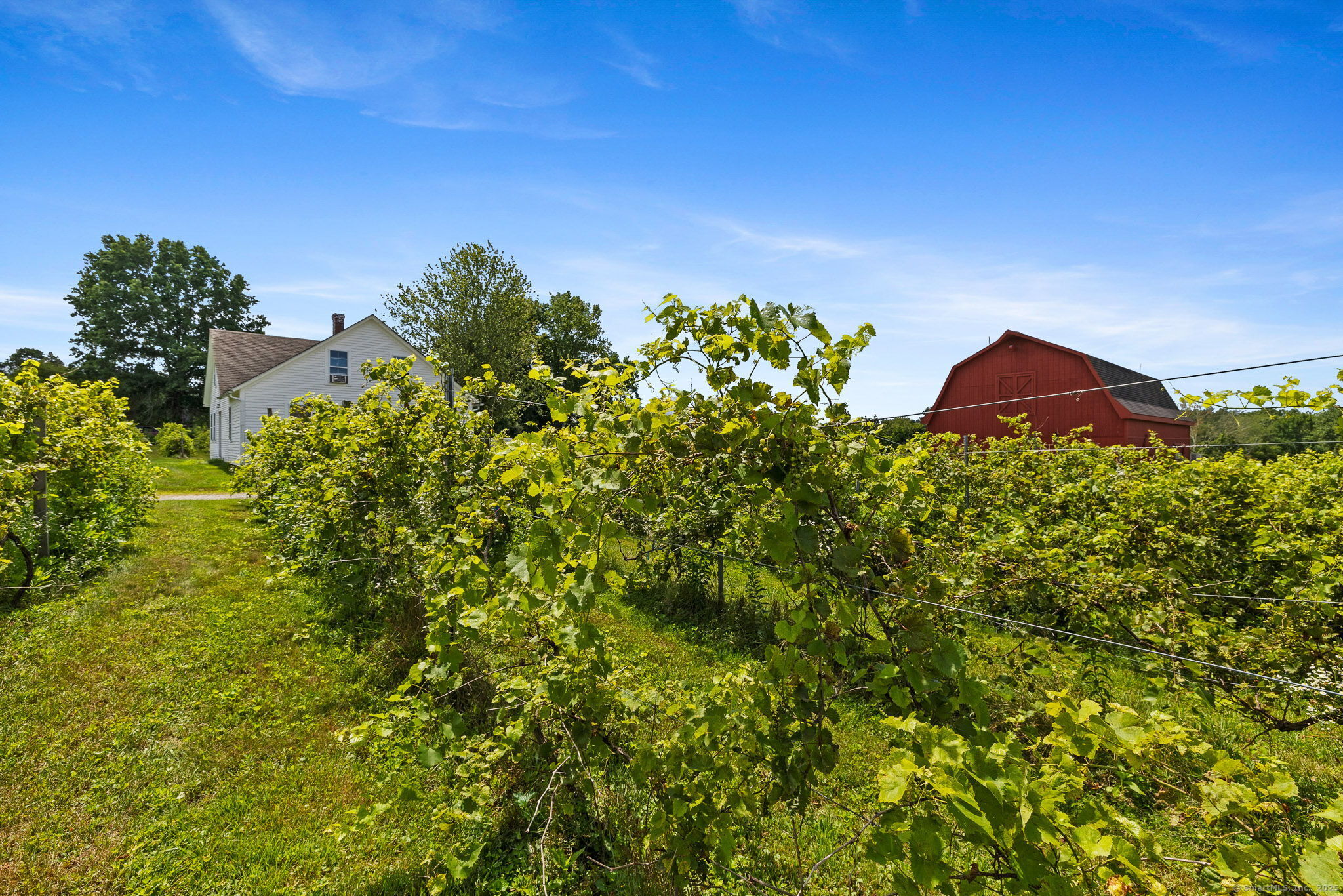 139 West Town Street Lebanon, CT 06249 - Photo 6 of 34