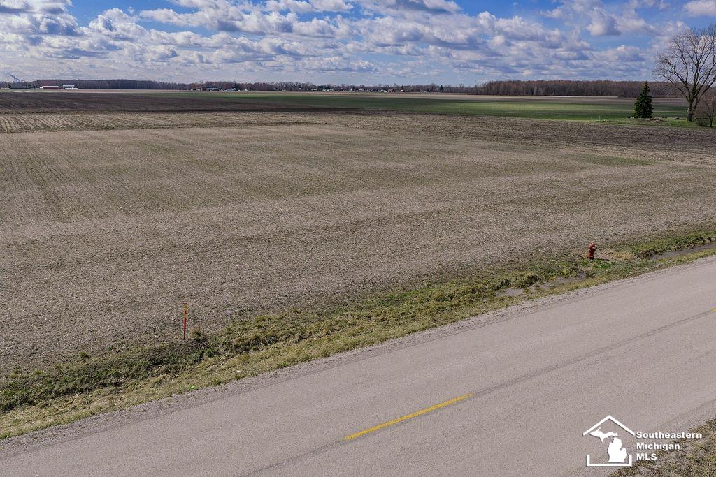 East Newburg Road Carleton, MI 48117 - Photo 3 of 10