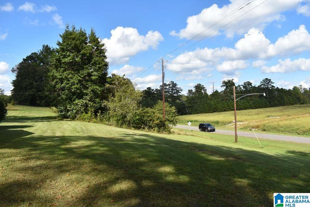 141 Highway 431 Wedowee, AL 36278 - Photo 5 of 11