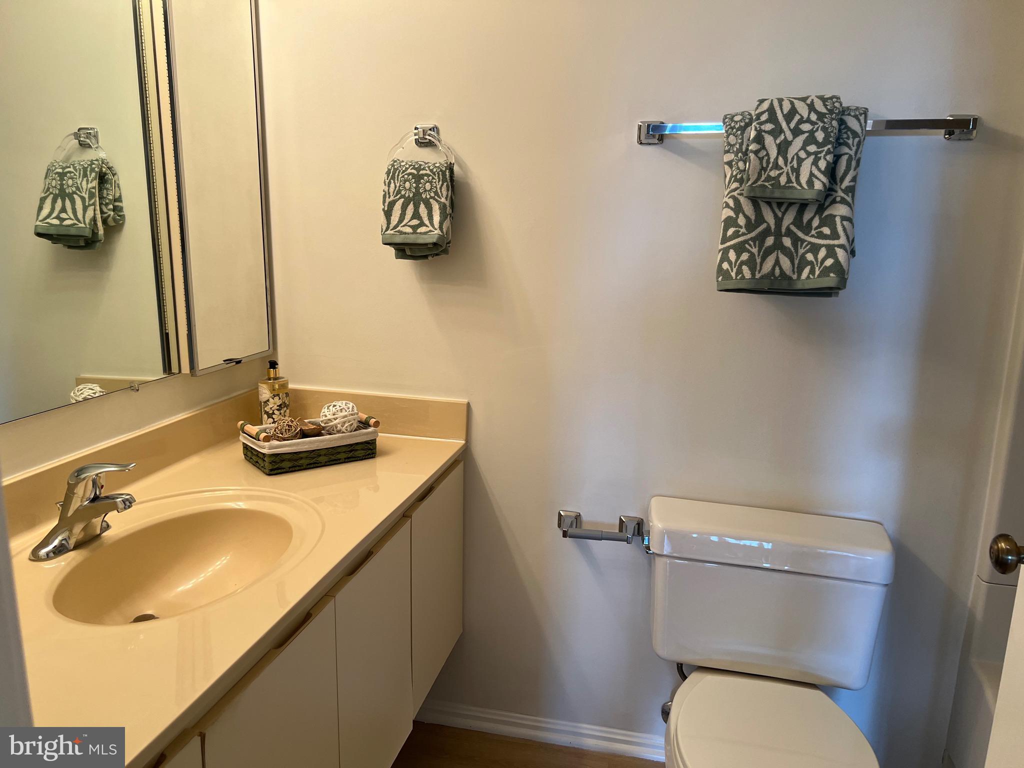 15100 Interlachen Drive, Unit 4709 Silver Spring, MD 20906 - Photo 15 of 22 a bathroom with a sink a toilet and mirror