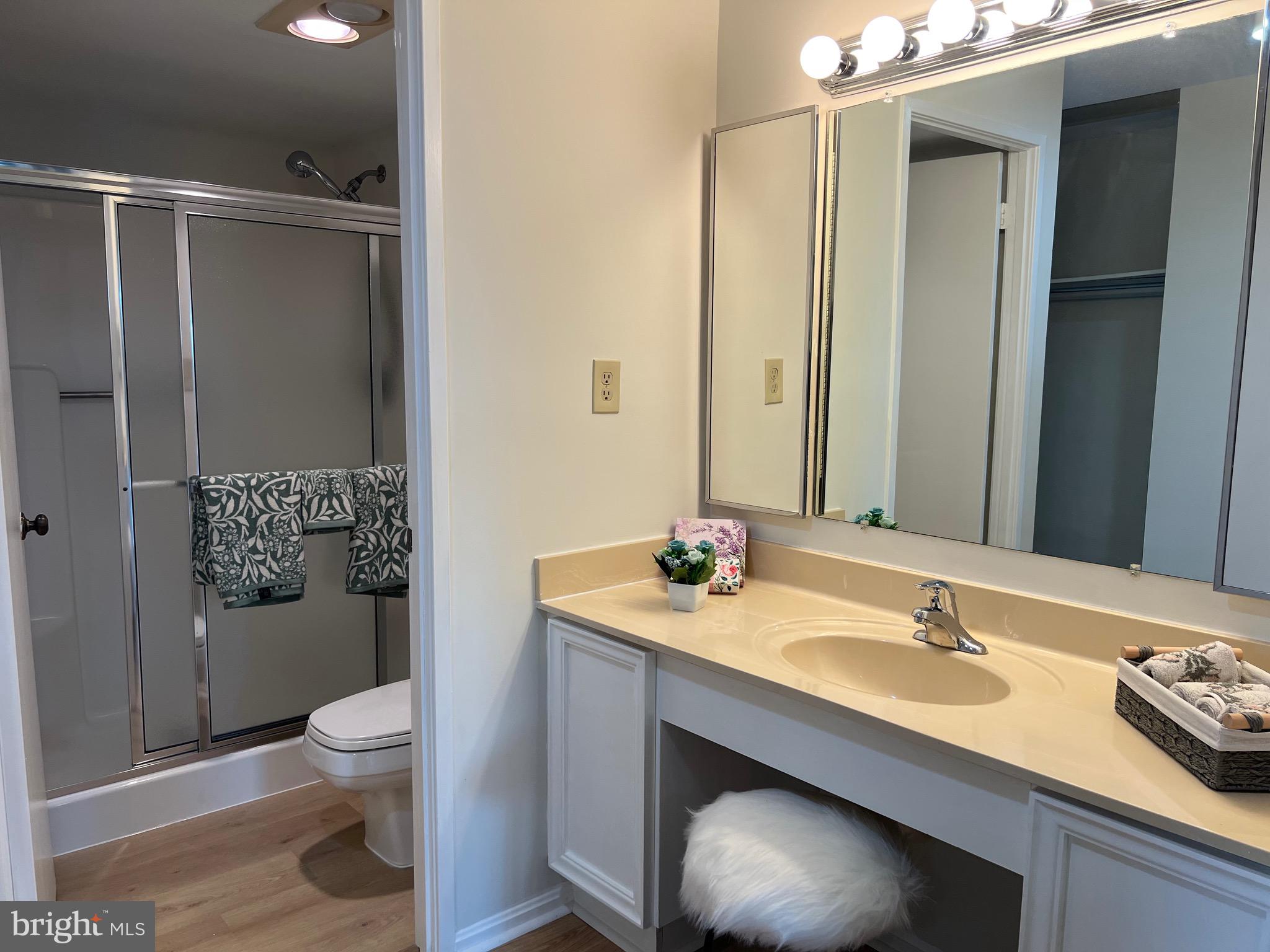 15100 Interlachen Drive, Unit 4709 Silver Spring, MD 20906 - Photo 16 of 22 a bathroom with a sink a toilet and shower