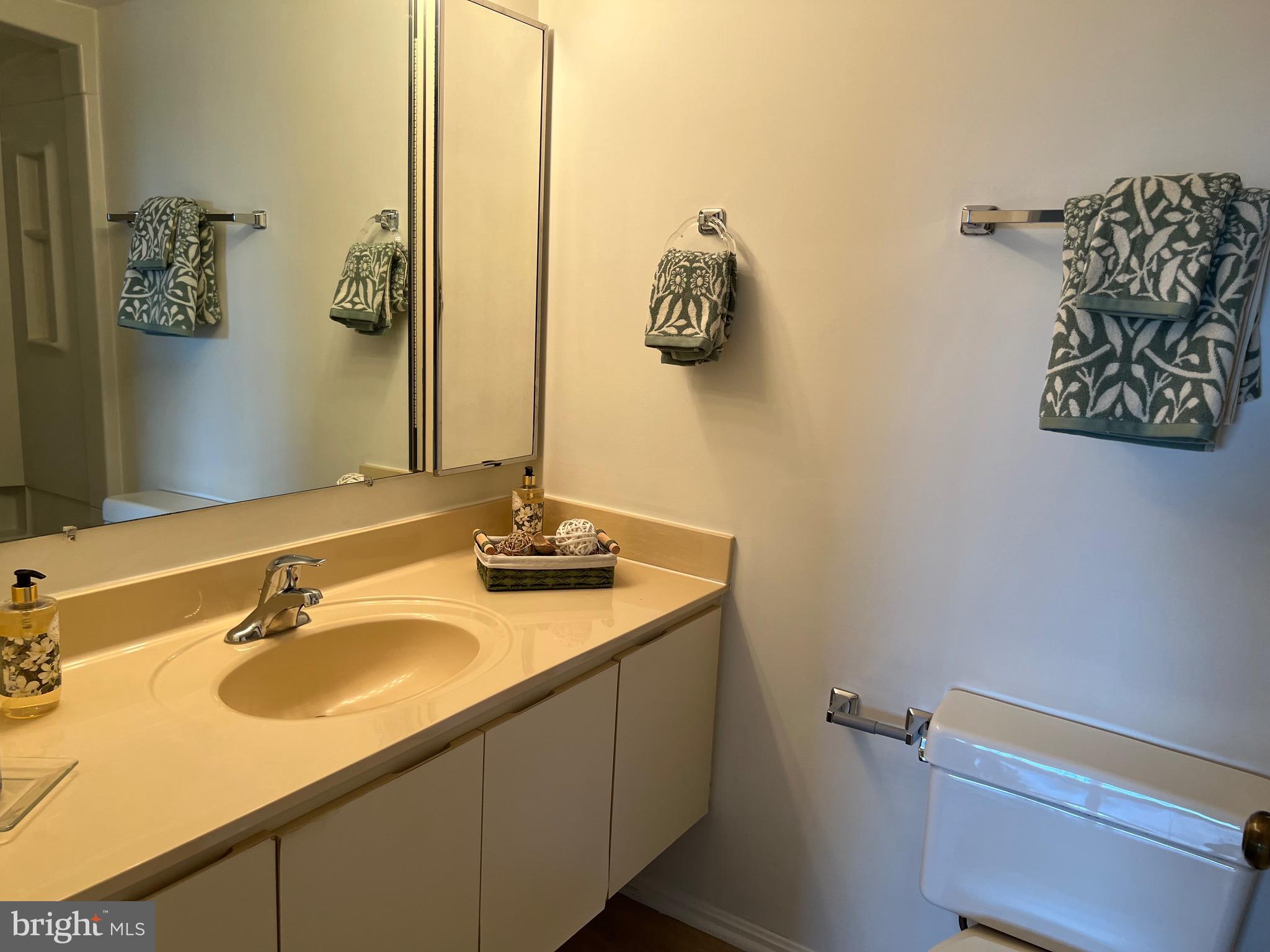 15100 Interlachen Drive, Unit 4709 Silver Spring, MD 20906 - Photo 20 of 22 a bathroom with a sink and a mirror