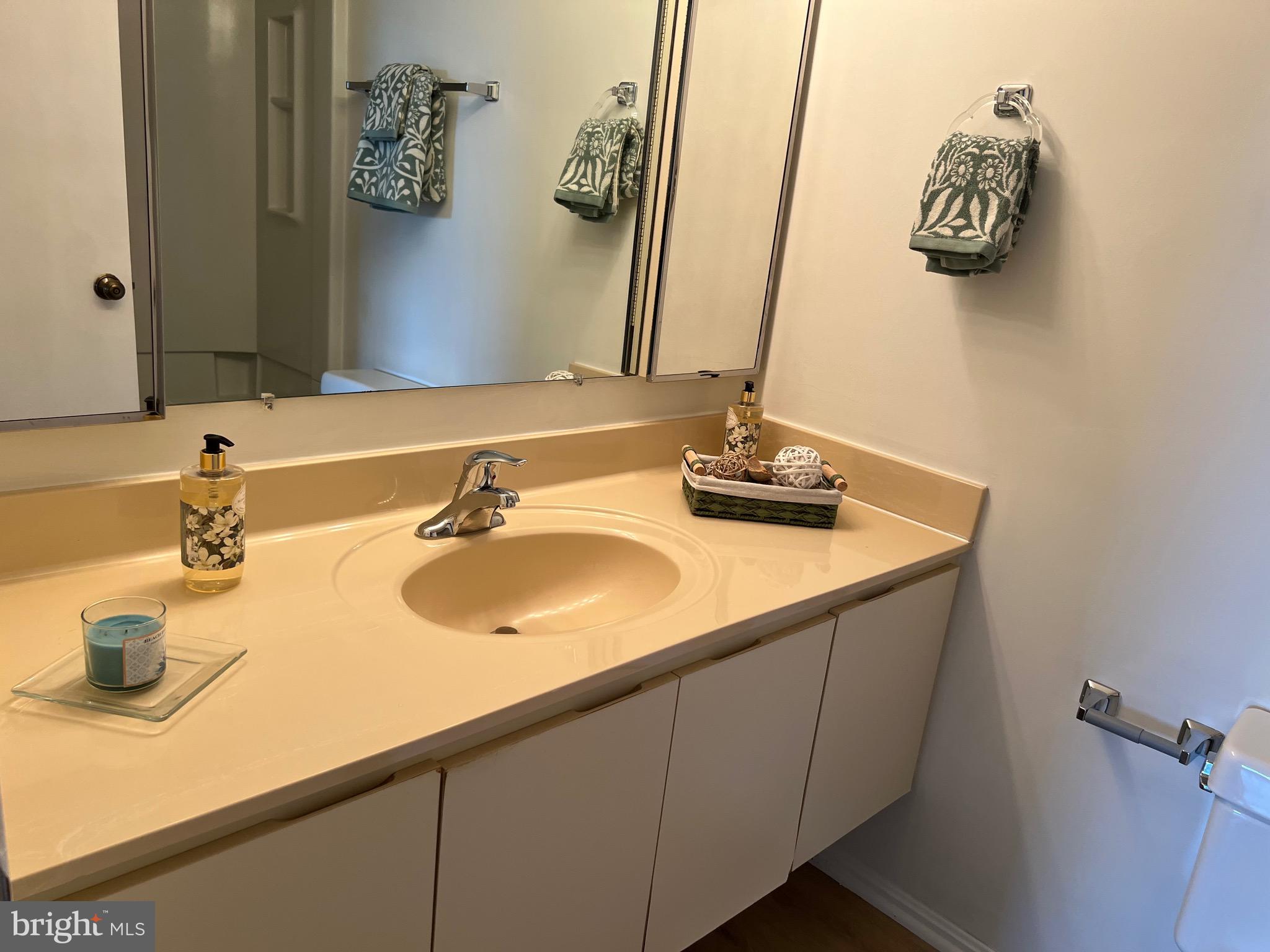 15100 Interlachen Drive, Unit 4709 Silver Spring, MD 20906 - Photo 21 of 22 a bathroom with a sink and a mirror