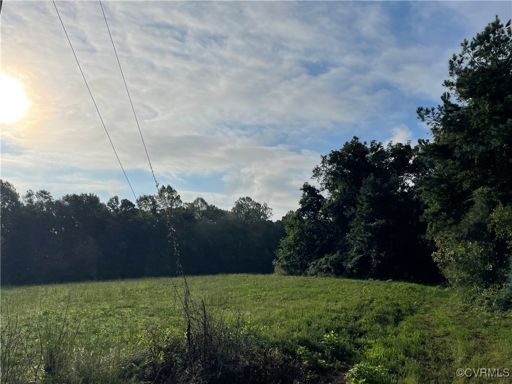 1105 Stewarts Road Toano, VA 23168 - Photo 1 of 27 View of local wilderness