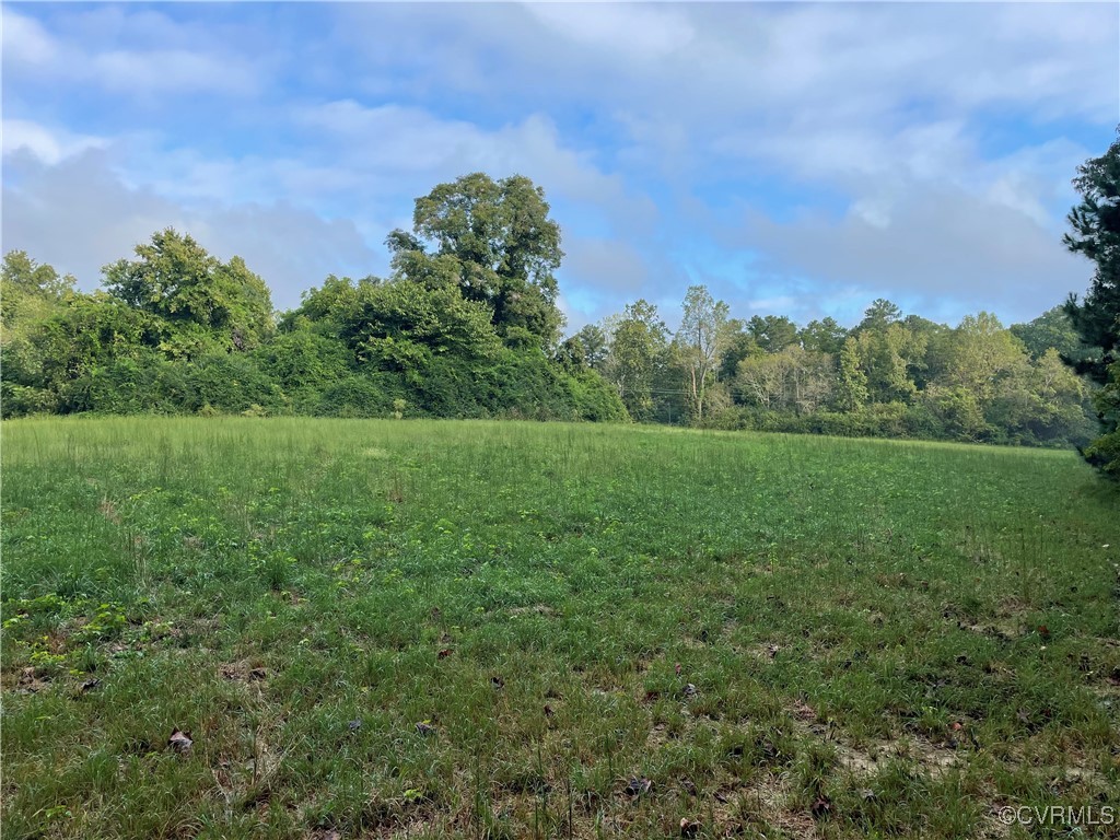 1105 Stewarts Road Toano, VA 23168 - Photo 11 of 27 View of yard