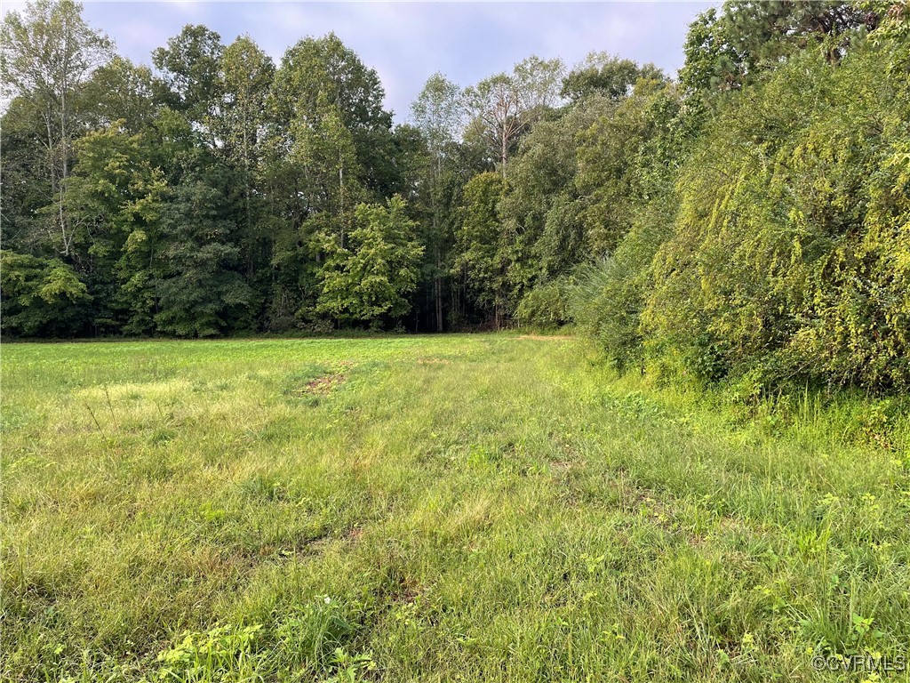 1105 Stewarts Road Toano, VA 23168 - Photo 13 of 27 View of nature