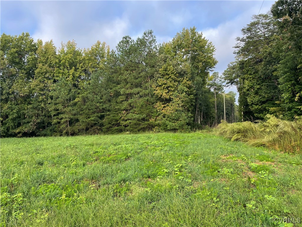 1105 Stewarts Road Toano, VA 23168 - Photo 14 of 27 View of local wilderness