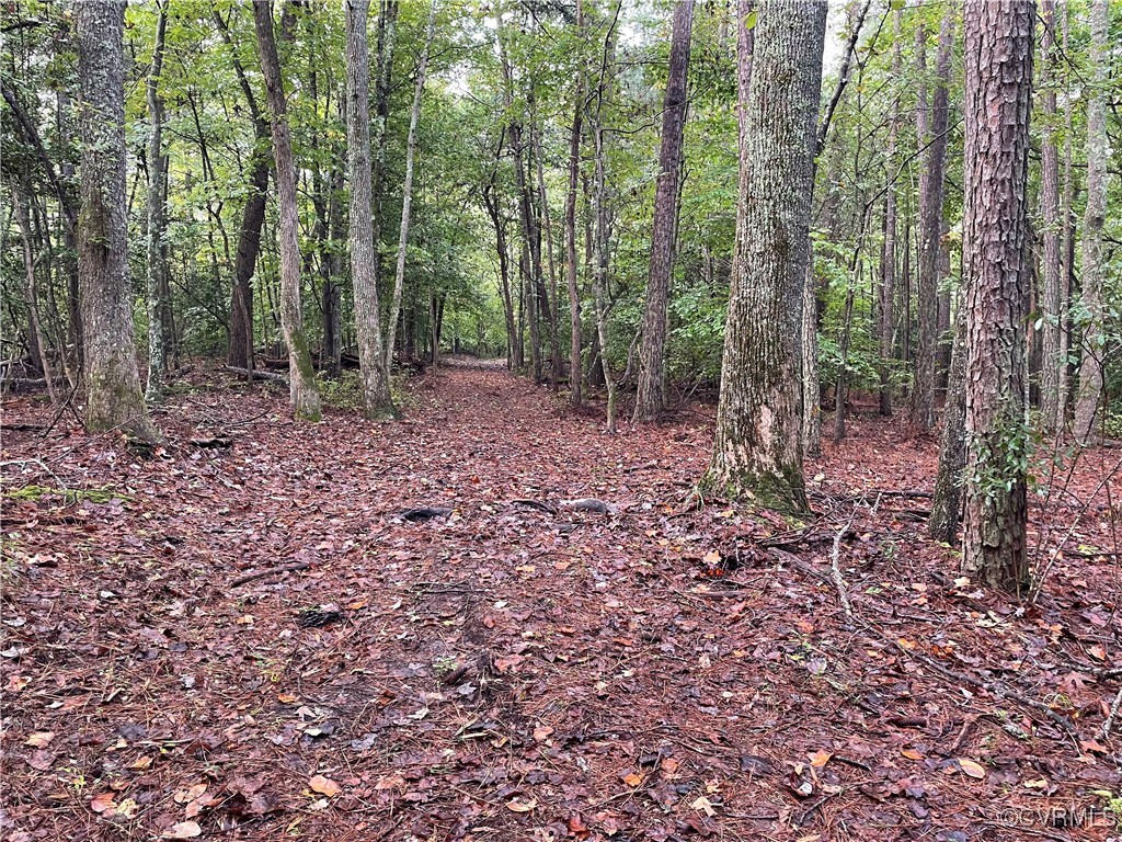 1105 Stewarts Road Toano, VA 23168 - Photo 17 of 27 View of landscape