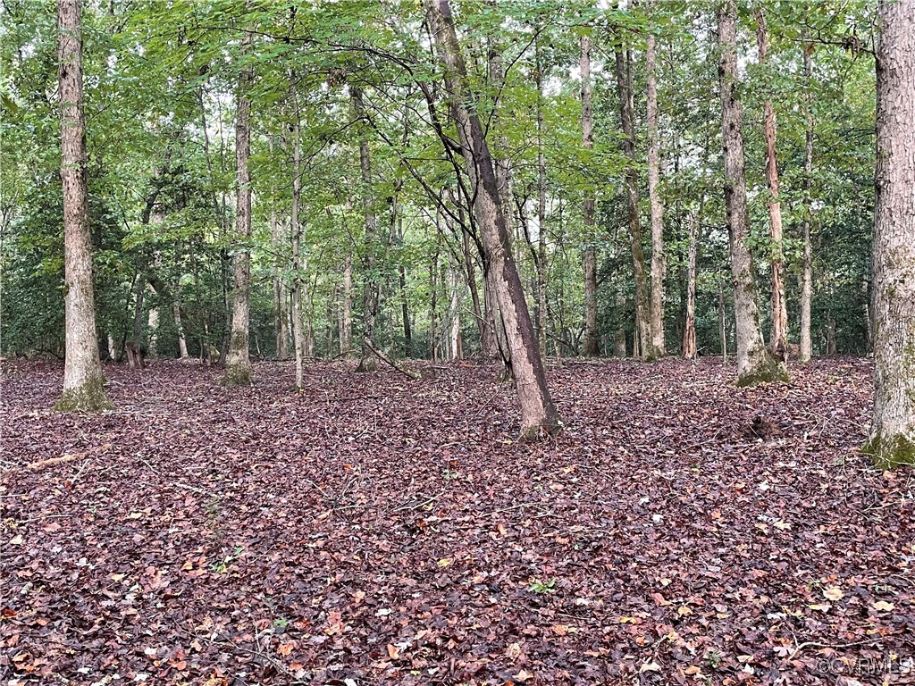 1105 Stewarts Road Toano, VA 23168 - Photo 18 of 27 View of nature
