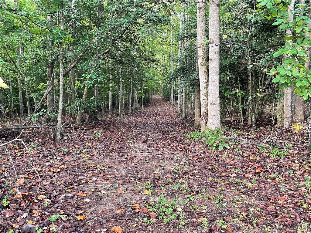 1105 Stewarts Road Toano, VA 23168 - Photo 19 of 27 View of local wilderness