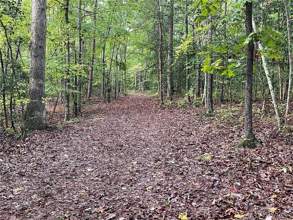 1105 Stewarts Road Toano, VA 23168 - Photo 20 of 27 View of landscape