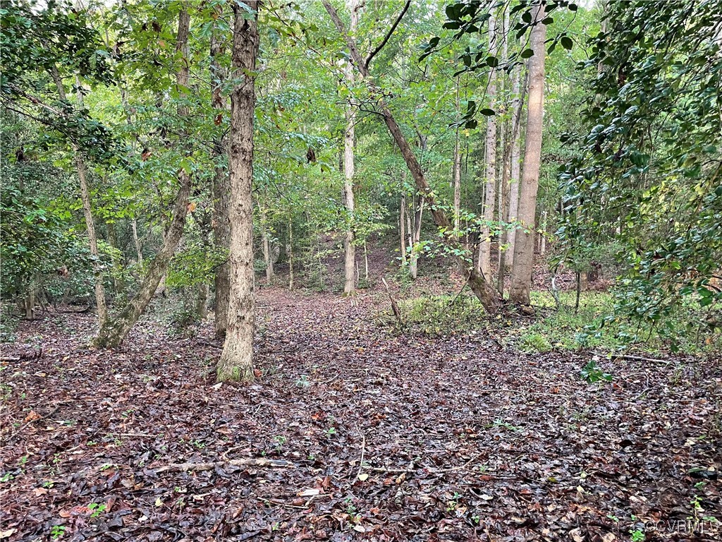 1105 Stewarts Road Toano, VA 23168 - Photo 22 of 27 View of local wilderness