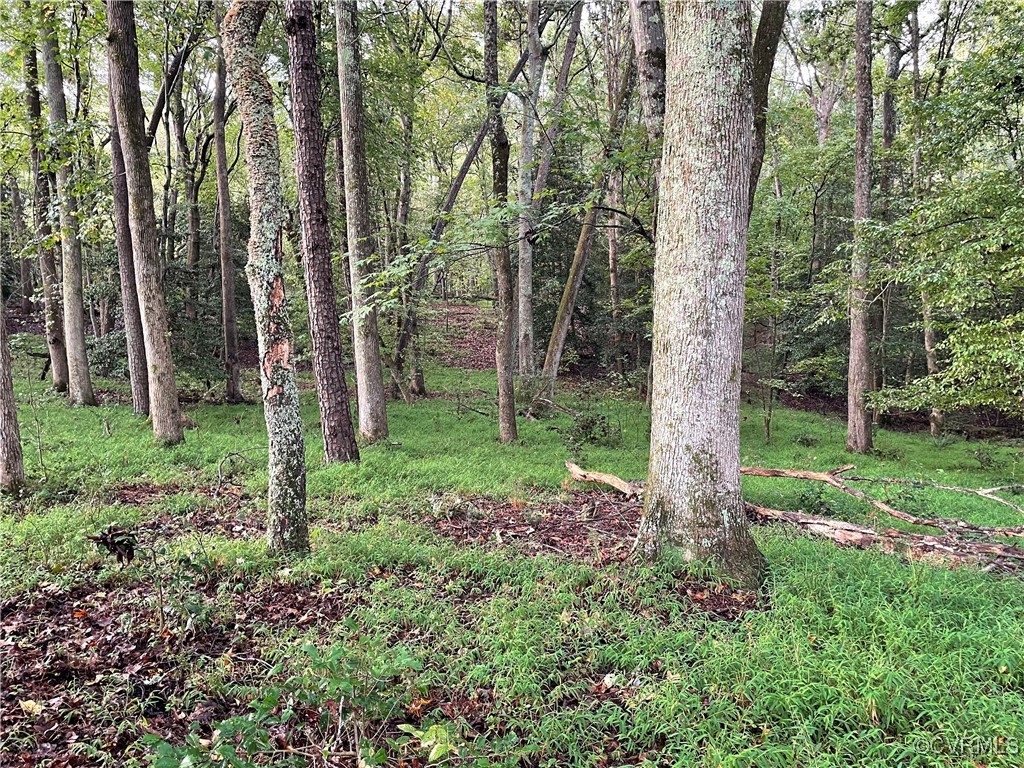 1105 Stewarts Road Toano, VA 23168 - Photo 23 of 27 View of landscape