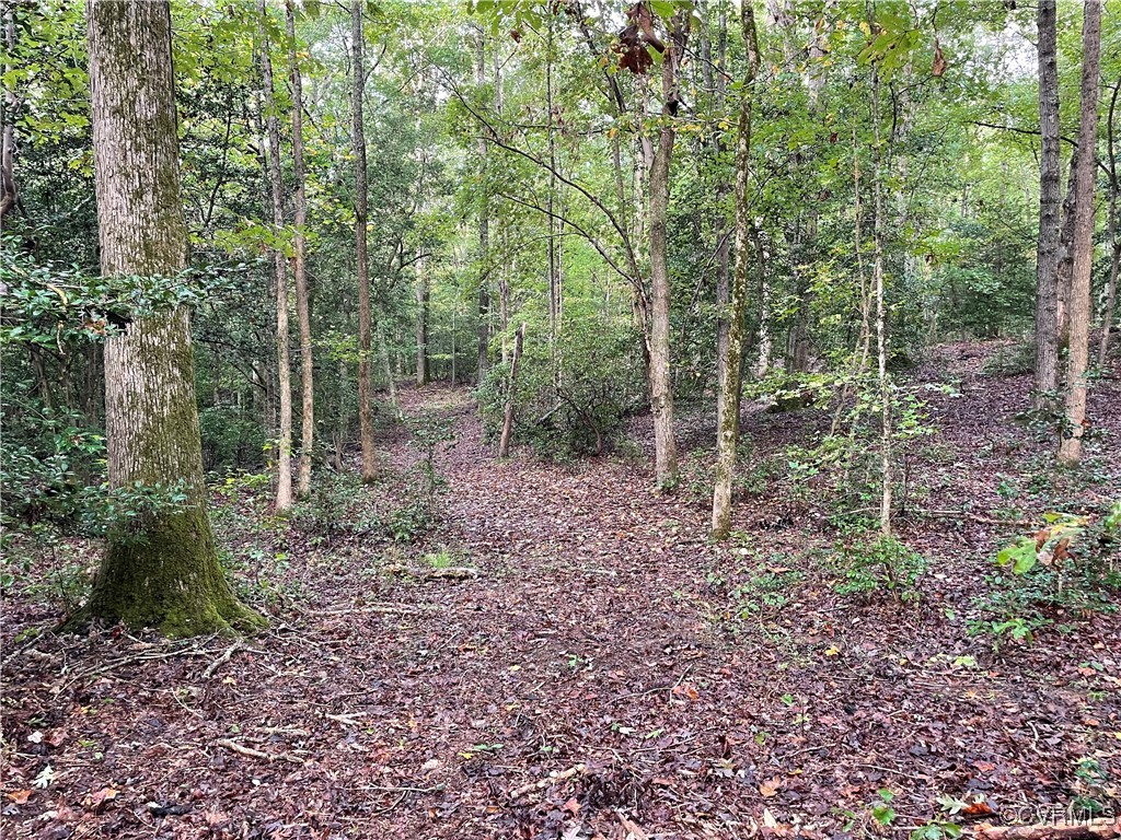 1105 Stewarts Road Toano, VA 23168 - Photo 24 of 27 View of landscape