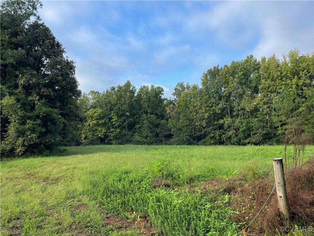 1105 Stewarts Road Toano, VA 23168 - Photo 25 of 27 View of yard