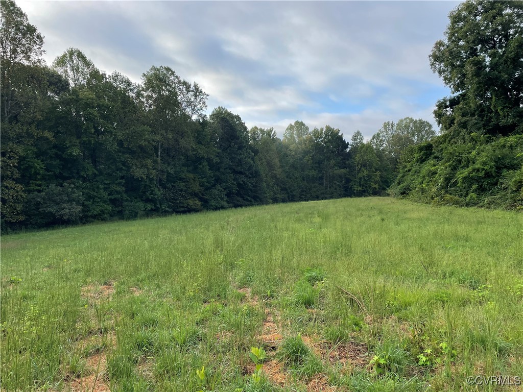 1105 Stewarts Road Toano, VA 23168 - Photo 3 of 27 View of local wilderness