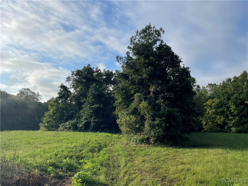 1105 Stewarts Road Toano, VA 23168 - Photo 5 of 27 View of landscape