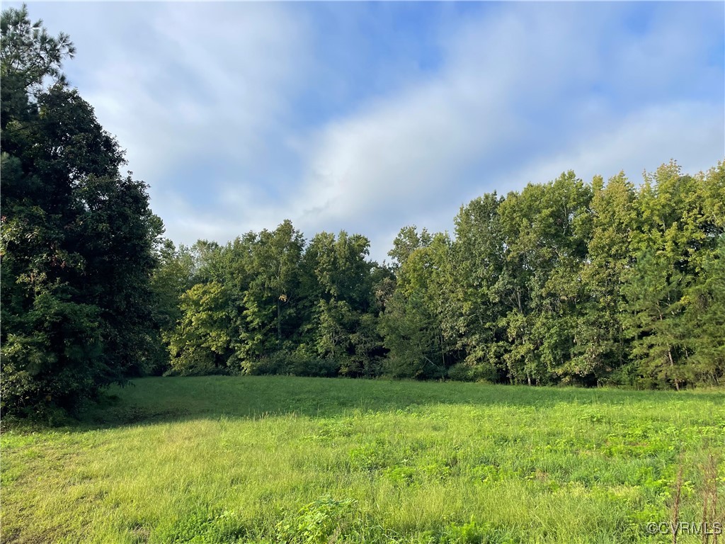 1105 Stewarts Road Toano, VA 23168 - Photo 6 of 27 View of local wilderness